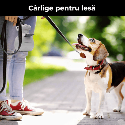 Dispozitiv Portabil pentru Colectarea Excrementelor Canine, Extensibil, Compartiment Sac, Gri