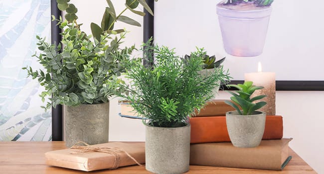 Set de 4 Plante Artificiale, Decorative de Interior, Eucalipt, Rozmarin si Suculente pentru birou, baie și sufragerie