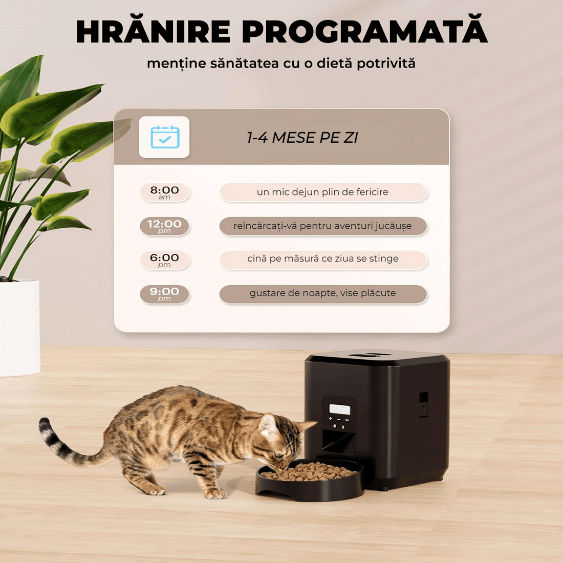 Hranitor automat pentru câini și pisici, 2L, control porții și intervale, negru