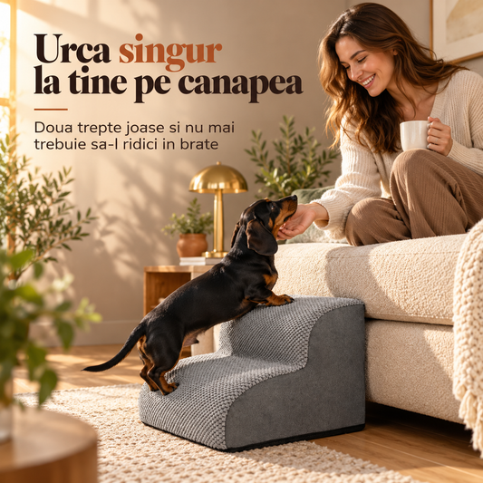 Urcă la tine