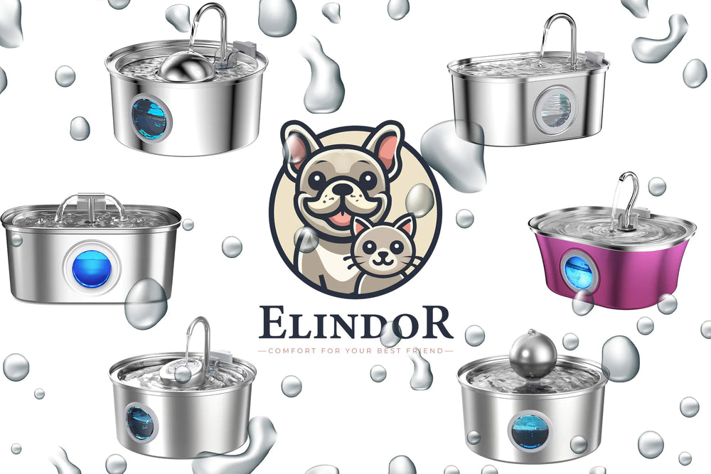 Alegerea perfecta pentru prietenul tau blanos