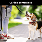 Dispozitiv Portabil pentru Colectarea Excrementelor Canine, Extensibil, Compartiment Sac, Gri