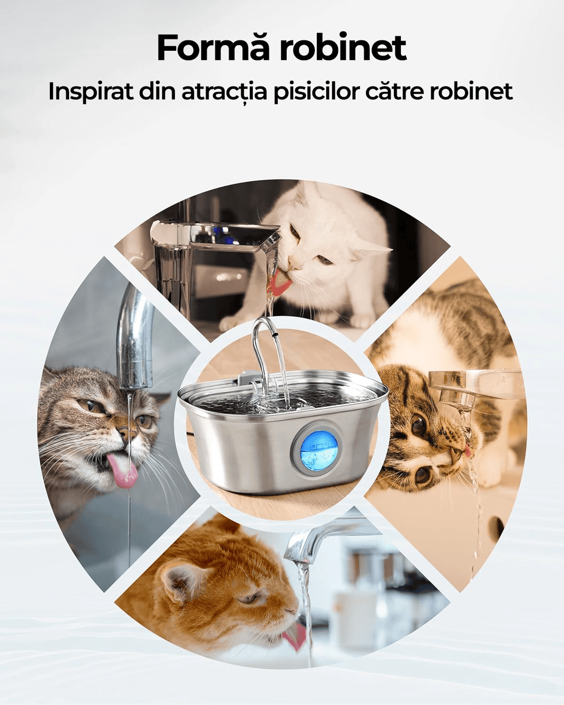 Dispenser Apă Automat pentru Pisici și Câini, 3.2L, Oțel Inoxidabil 304, Filtrare Multiplă, Ultra-Silențios, Argintiu