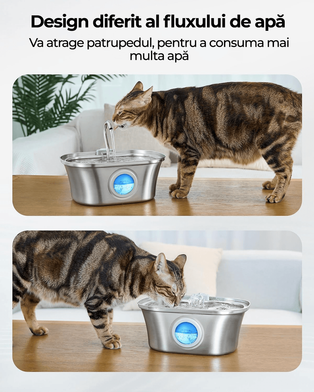 Dispenser Apă Automat pentru Pisici și Câini, 3.2L, Oțel Inoxidabil 304, Filtrare Multiplă, Ultra-Silențios, Argintiu