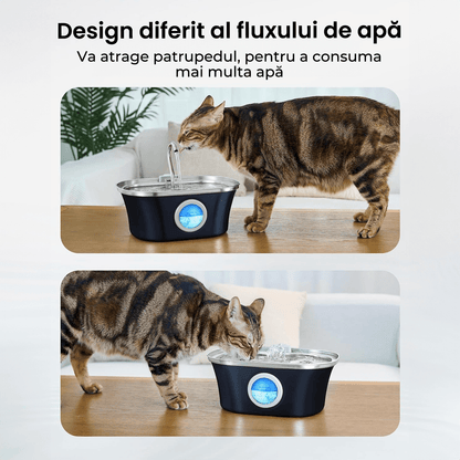Dispenser Automat Apă pentru Pisici și Câini, 3.2 L, Oțel Inoxidabil, Filtrare Multiplu, Ultra-Silentios, Albastru