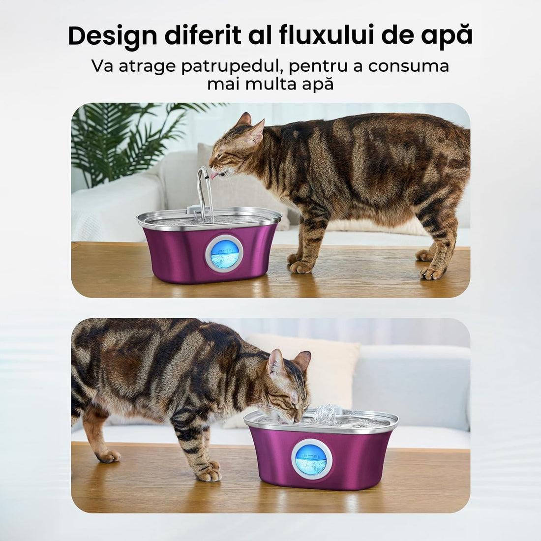 Dispenser Automat Apă pentru Pisici și Câini, 3.2 L, Oțel Inoxidabil, Filtrare Multiplu, Ultra-Silentios, Roz