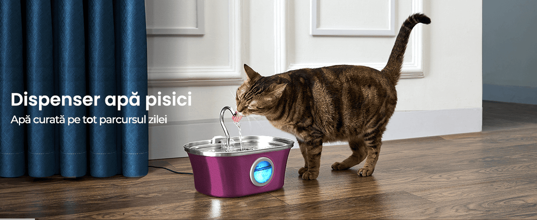 Dispenser Automat Apă pentru Pisici și Câini, 3.2 L, Oțel Inoxidabil, Filtrare Multiplu, Ultra-Silentios, Roz