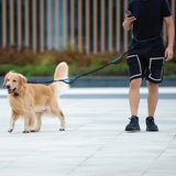 Lesă Hands-Free pentru Câini, cu Borsetă Detasabilă, Mânere Duble Captusite, Elastic Durabil, pentru Câini 11-55 kg, Negru