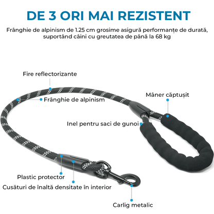 Lesă Dublă pentru Câini, Rotire 360°, Absorbție Șocuri, Pentru 2 Câini, L 11-68kg, Negru