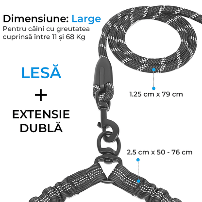 Lesă Dublă pentru Câini, Rotire 360°, Absorbție Șocuri, Pentru 2 Câini, L 11-68kg, Negru