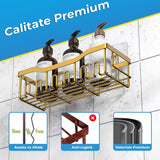 Raft pentru Duș și Organizator de Baie, Set de 5 Bucăți cu Adeziv, Fără Găuri, Auriu