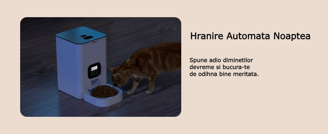 Hranitor automat pentru câini și pisici, 4L, control porții și intervale, alb
