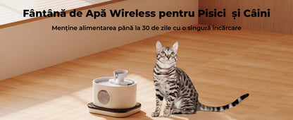 Dispenser wireless apă 2.8L, filtrare carbon activ, 2 moduri de flux, negru