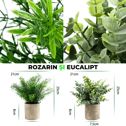 Set de 4 Plante Artificiale, Decorative de Interior, Eucalipt, Rozmarin si Suculente  pentru birou, baie și sufragerie