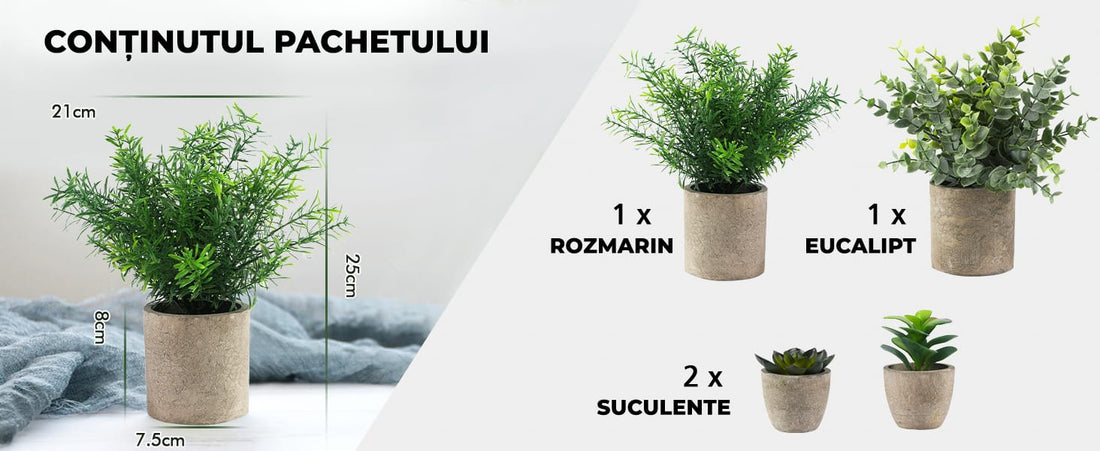 Set de 4 Plante Artificiale, Decorative de Interior, Eucalipt, Rozmarin si Suculente  pentru birou, baie și sufragerie