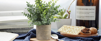 Set de 4 Plante Artificiale, Decorative de Interior, Eucalipt, Rozmarin si Suculente  pentru birou, baie și sufragerie