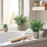 Set de 4 Plante Artificiale, Decorative de Interior, Eucalipt, Rozmarin si Suculente  pentru birou, baie și sufragerie