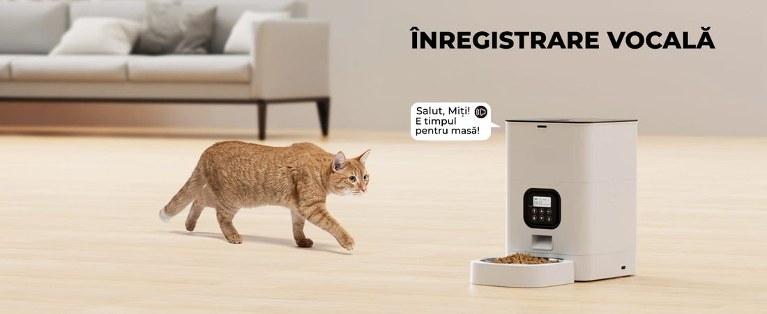 Hranitor automat pentru câini și pisici, 4L, control porții și intervale, alb