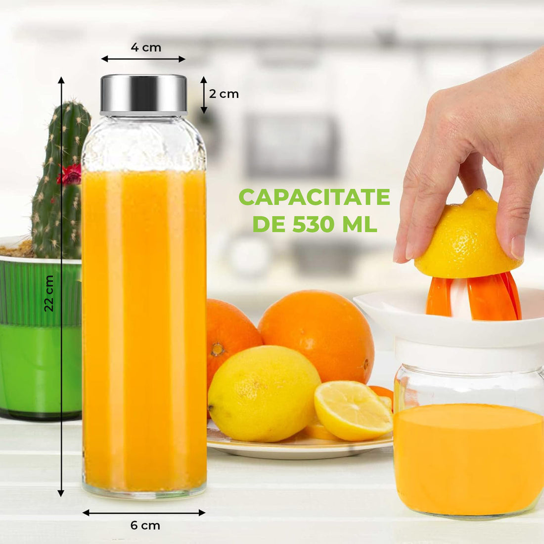 Set 6 Sticle Elindor® cu Capace din Inox, Etanseitate 100%, Ideal pentru Apa, Suc, Smoothie, Ceai, Cafea, Potrivit pentru Frigider, Lavabil, din Sticla fara BPA, 22 x 6 cm, 530 ml, Transparent
