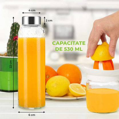 Set 6 Sticle Elindor® cu Capace din Inox, Etanseitate 100%, Ideal pentru Apa, Suc, Smoothie, Ceai, Cafea, Potrivit pentru Frigider, Lavabil, din Sticla fara BPA, 22 x 6 cm, 530 ml, Transparent