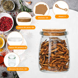 Set 20 Borcane Mici Elindor® din Sticla cu Capac Pluta, 200 ml, Borcane Iaurt, Desert, Miere, Marturii Botez, cu Etichete Personalizabile, Perfecte pentru Cadouri Creative si Evenimente Speciale, Transparent