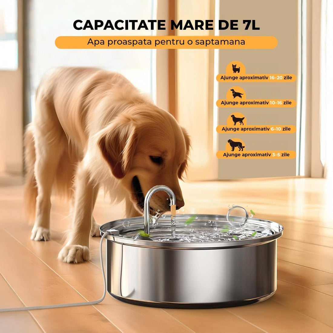 Dispenser de Apa Automata 7L Elindor®, 2 Moduri de Functionare, Argintiu