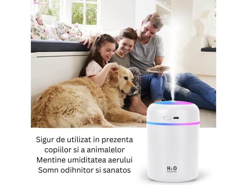 Mini Umidificator USB cu Difuzor Aromaterapie și Lumini LED, 300ml, 2 Moduri, Alb