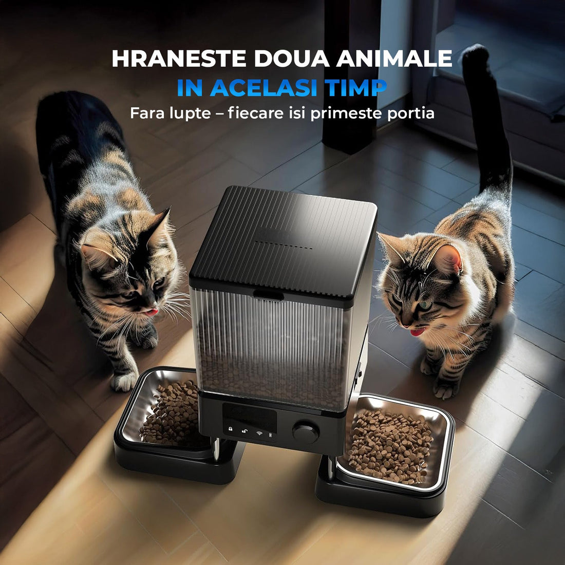 Hranitor Automat Elindor® 5L pentru Pisici si Caini, cu 2 Castroane din Inox, Control prin Aplicatie, WiFi 2.4G/5G, Functie Inregistrare Vocala, Usor de Utilizat, Negru