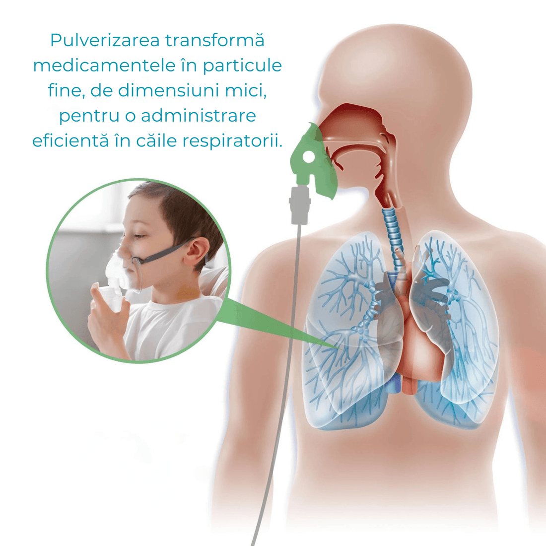 Aparat aerosoli inhalator Blue Owl, nebulizator cu compresor, 0.2ml/min, măști copii și adulți, accesorii incluse