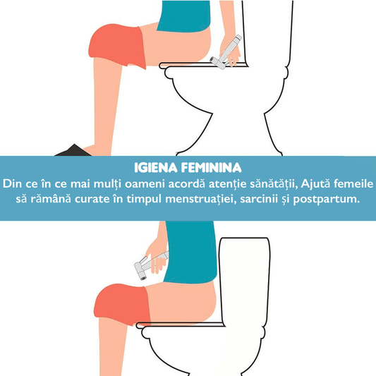 Set Duș Igienic pentru Igiena Intimă, Baterie Bideu și WC, Oțel Inoxidabil, Para + Furtun + Baterie + Agățătoare, Presiune Reglabilă, Filet G1/2, Argintiu