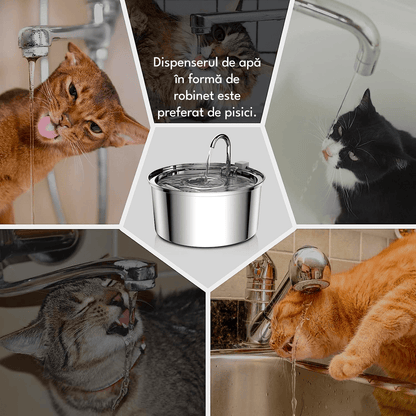 Dispenser Apă Automat pentru Pisici și Câini, 3.2L, Oțel Inoxidabil, Filtrare Activă, Model Rotund, Argintiu