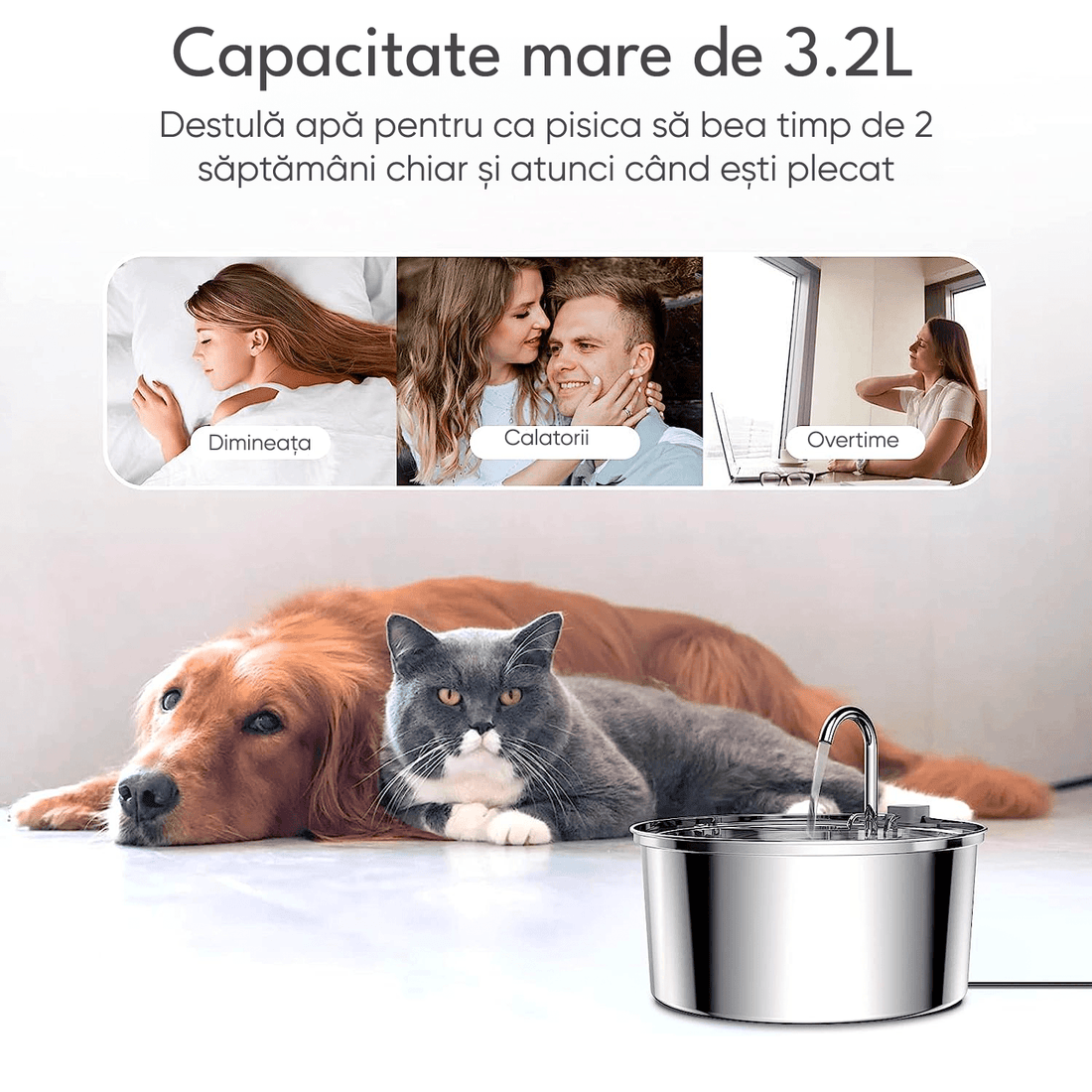 Dispenser Apă Automat pentru Pisici și Câini, 3.2L, Oțel Inoxidabil, Filtrare Activă, Model Rotund, Argintiu
