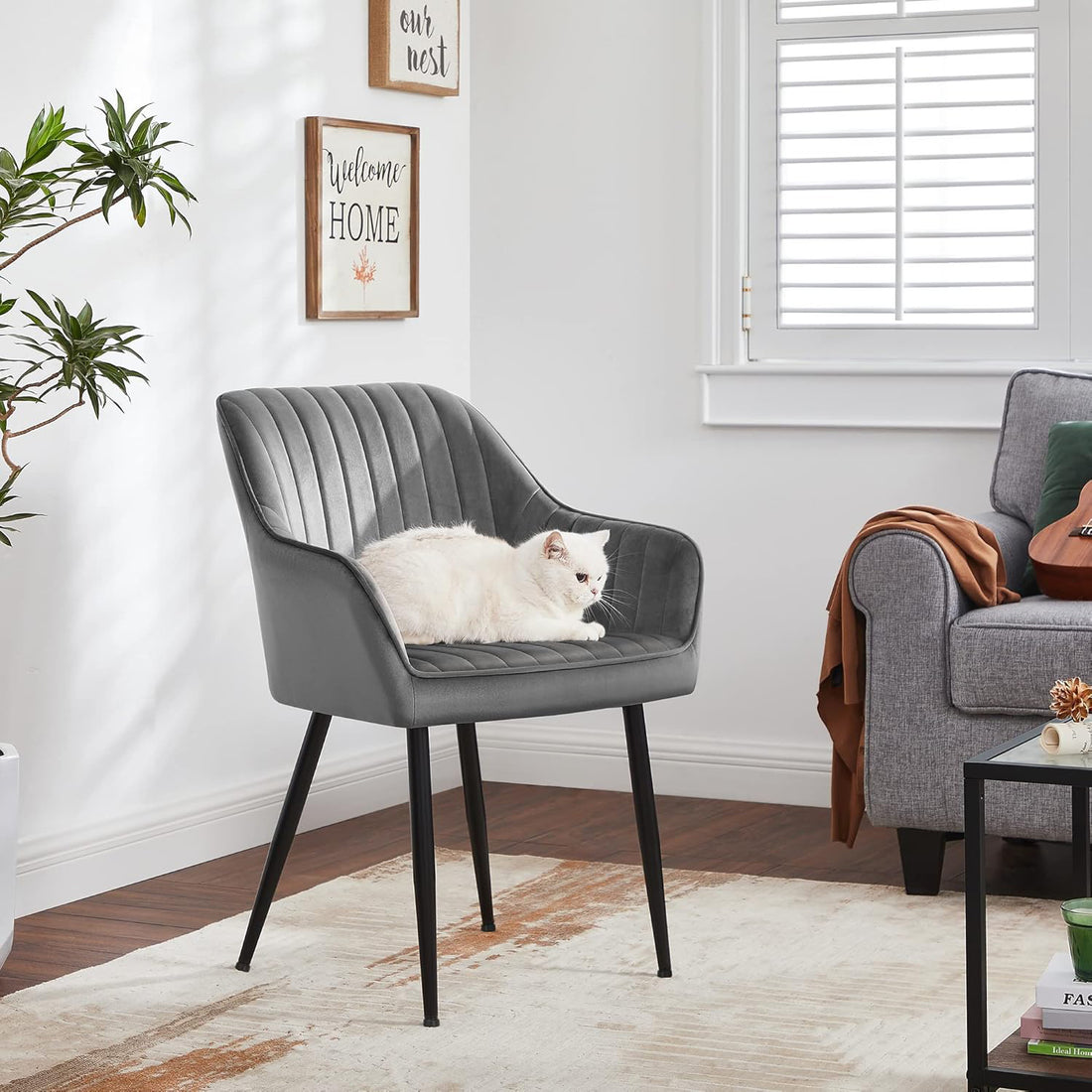 Set 2 Scaune Elindor® Ergonomice, Design Contemporan, Scaun cu Spatar si cu Manere, din Catifea cu Picioare Metalice Negre, Potrivite pentru Living, Bucatarie, Birou, Dormitor, 90x60x45 cm, Gri