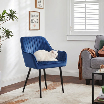 Set 2 Scaune Elindor® Ergonomice, Design Contemporan, Scaun cu Spatar si cu Manere, din Catifea cu Picioare Metalice Negre, Potrivite pentru Living, Bucatarie, Birou, Dormitor, 90x60x45 cm, Albastru