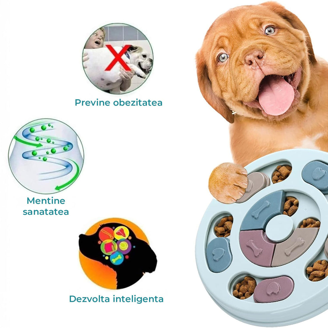 Jucarie Puzzle Elindor® Interactiva pentru Animale de Companie, Bol de Mancare, Compartimente Glisante, Albastru