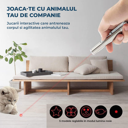 Jucarie Interactiva Elindor® pentru Pisici si Caini, Laser Pointer Reincarcabil USB, 7 Moduri Ajustabile, Lanterna LED, Otel Inoxidabil, Argintiu