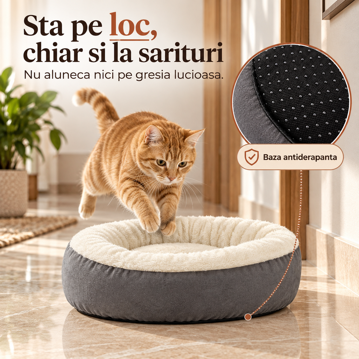 Bază antiderapantă