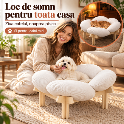 In casa ta
