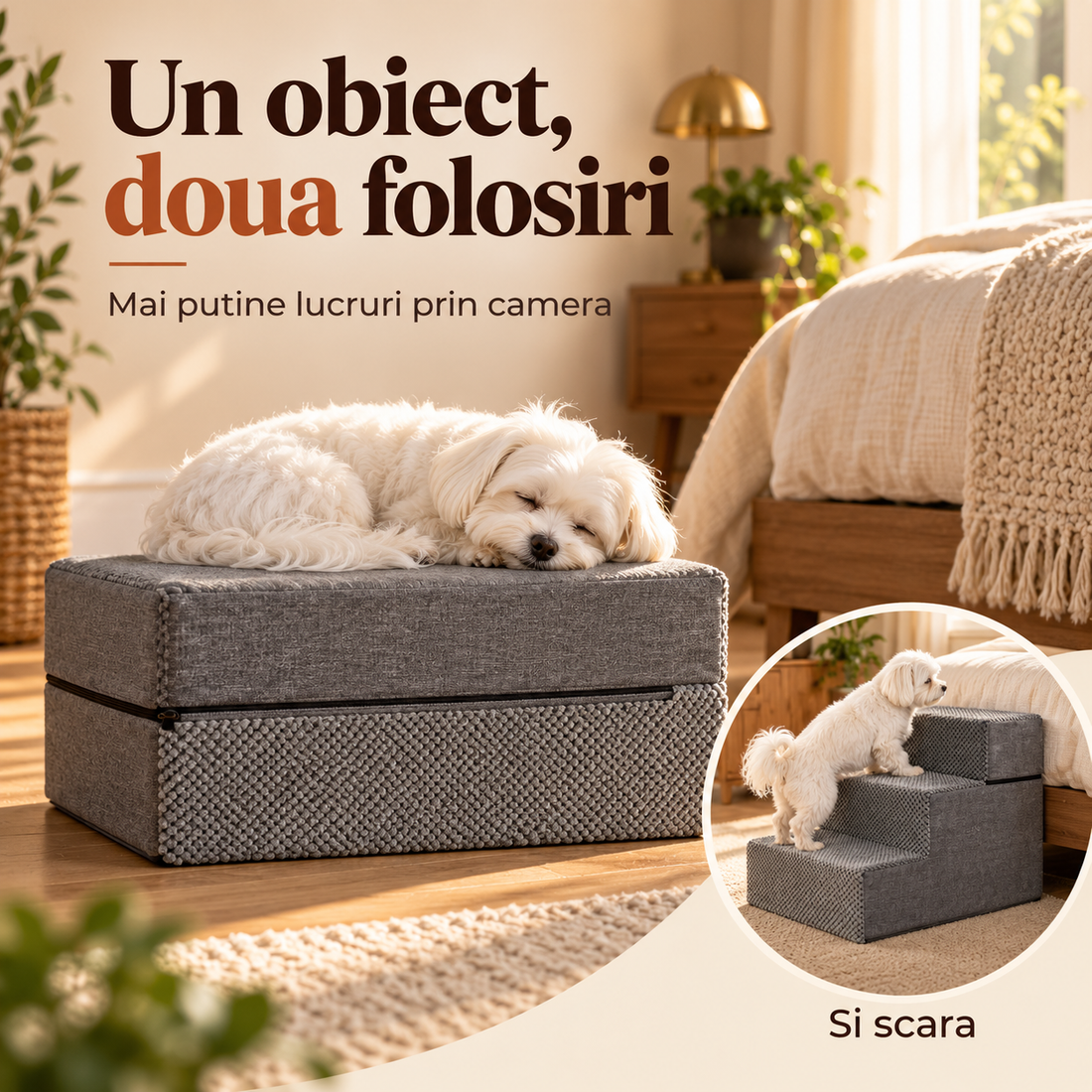 Scara si pat de caine