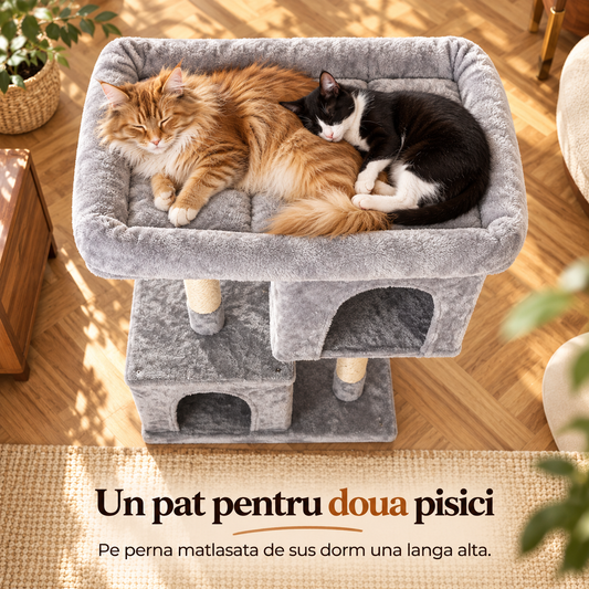 Patul mare de sus