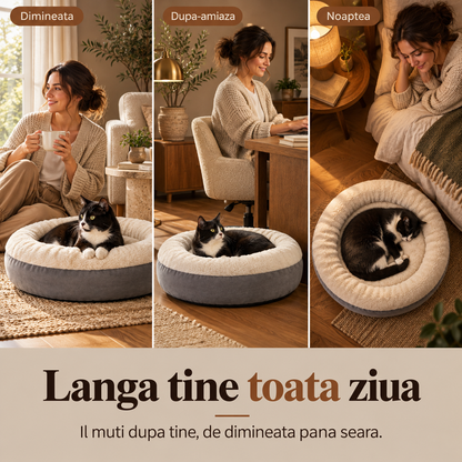 Prin casă