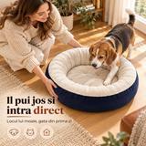 Impreuna cu tine