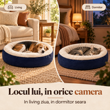 In orice camera