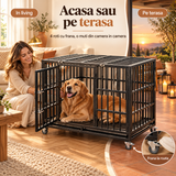 Pe roti, acasa si pe terasa