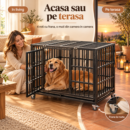 Pe roti, acasa si pe terasa
