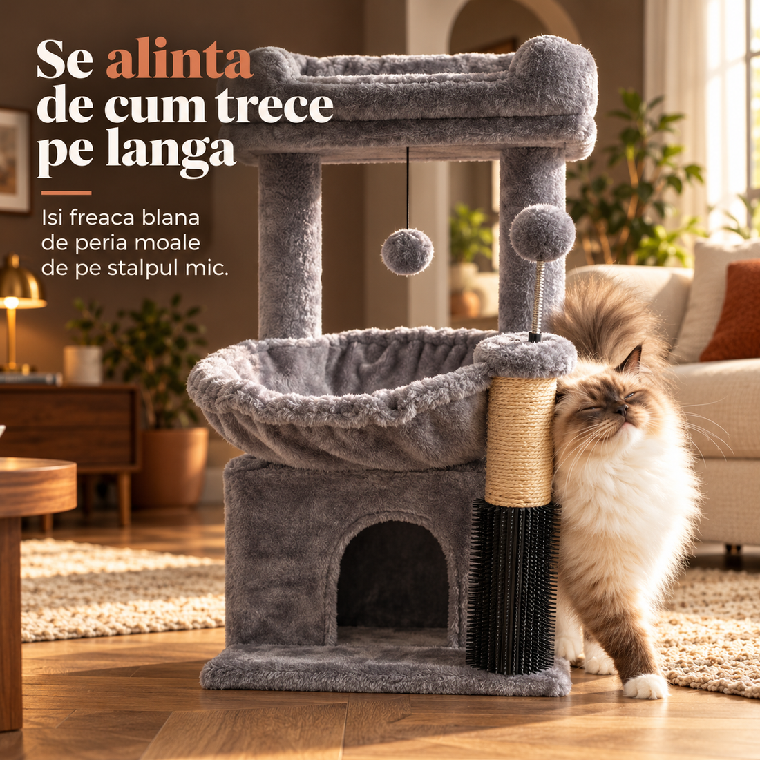 Perie și jucărie pe arc