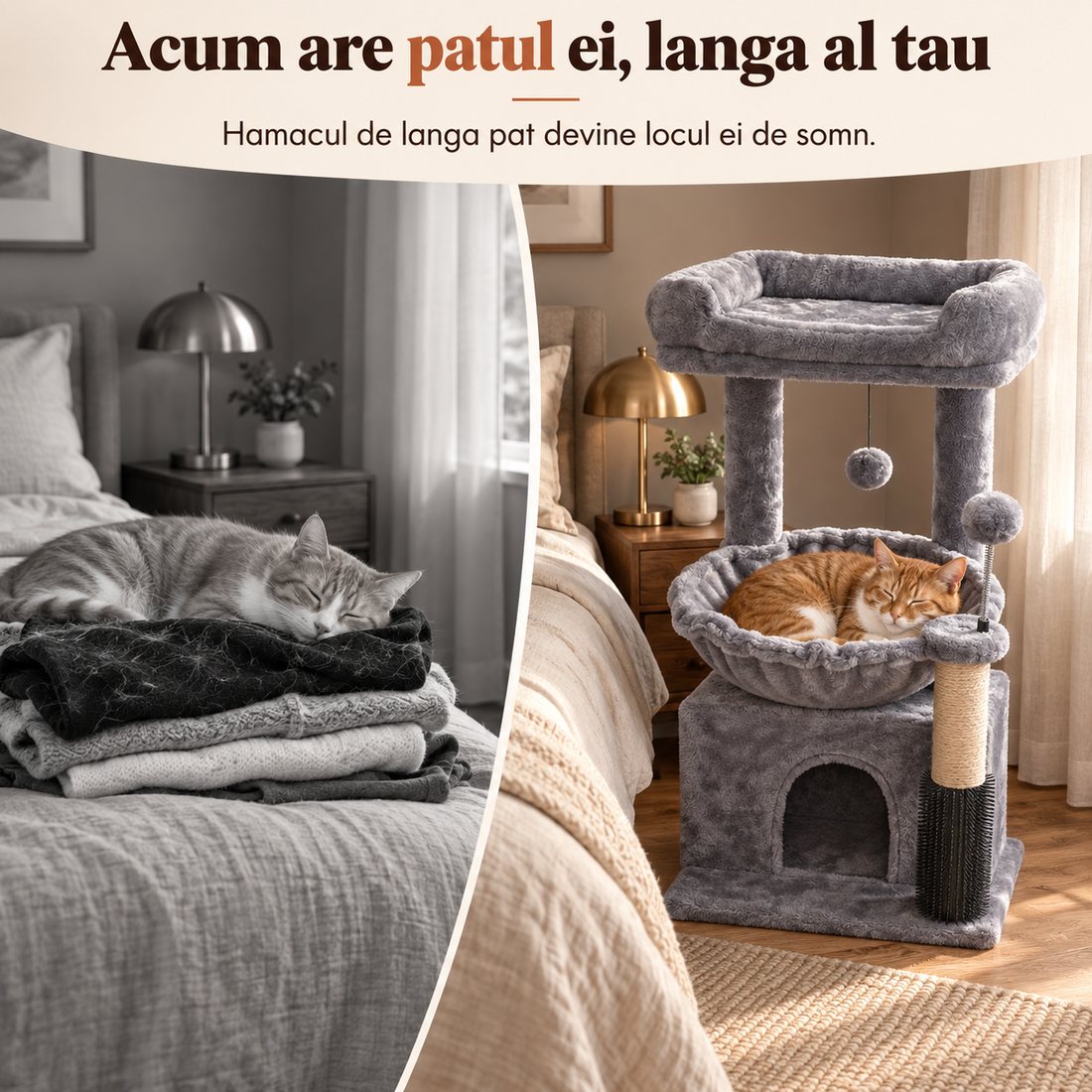 Locul ei în casă