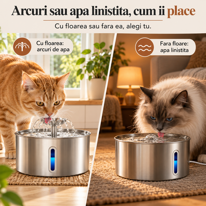 Două moduri de curgere