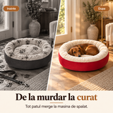 Spălare la mașină