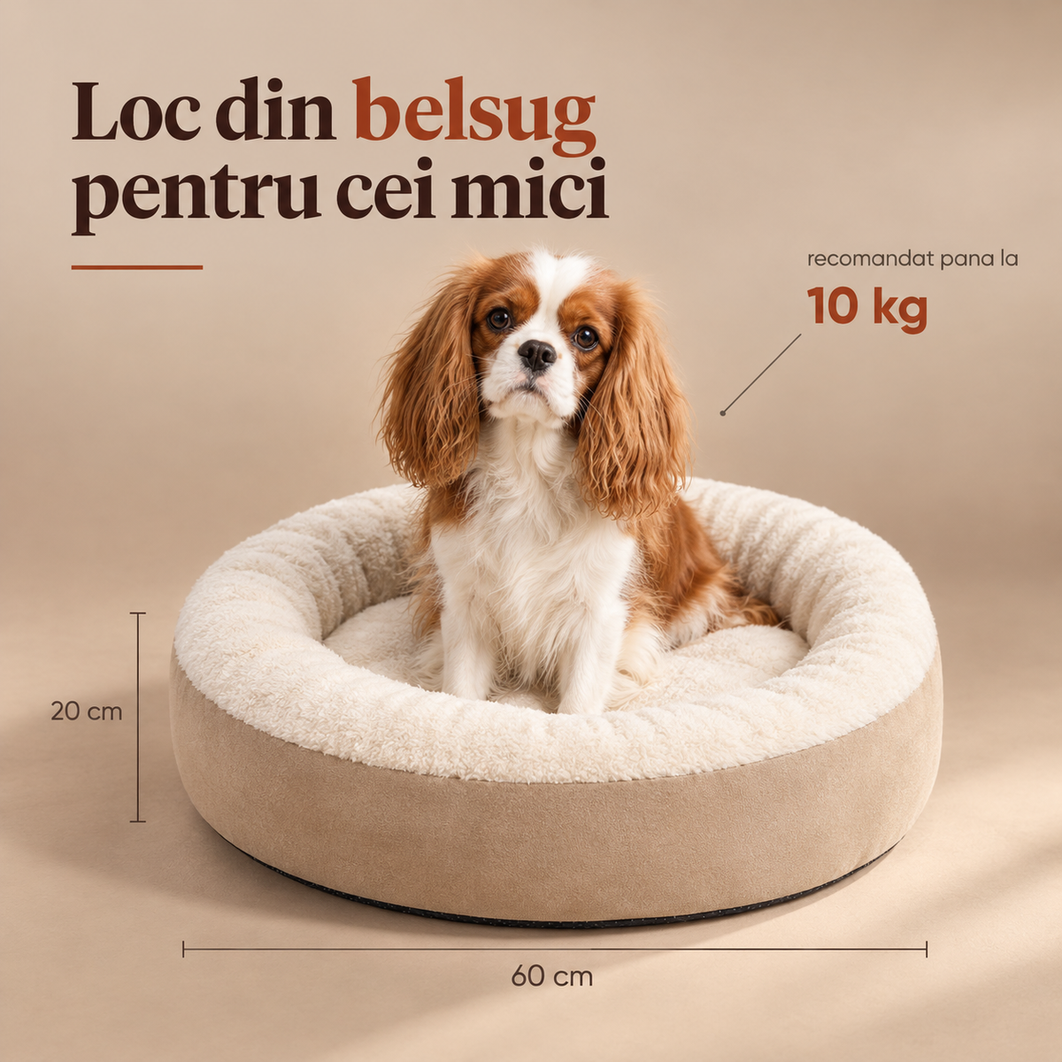 Dimensiuni produs